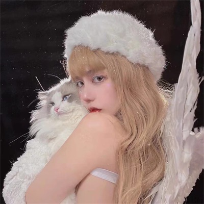 ȫÿ˸ͷ