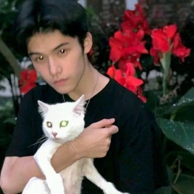 °泬ÿĲԵͷ