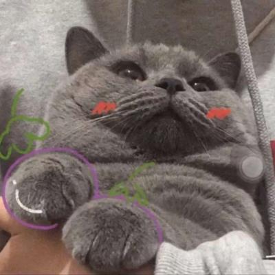 ɰȳͷһ