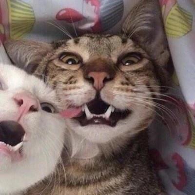 èͷһ