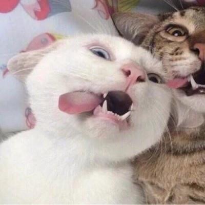 èͷһ