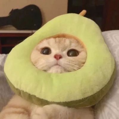 èͷΪ