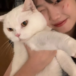 ϲŮͷ һҪô˰