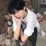 ins˸ͷͼƬ
