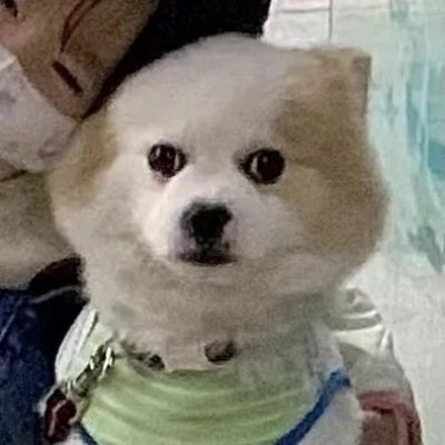 ΨͷͼƬ