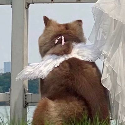 кŮͷ