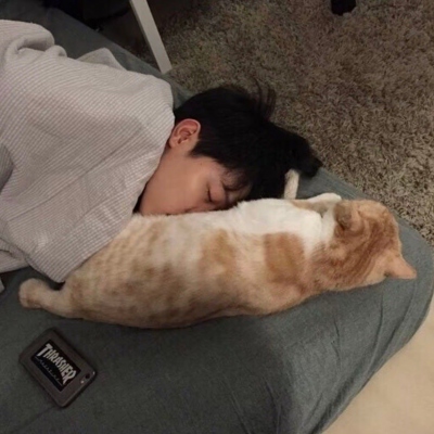 ͷϼ