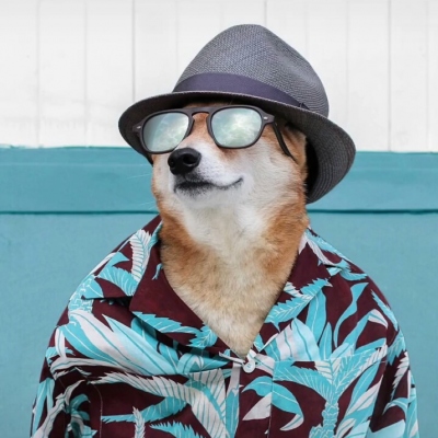 ΢ͷȫ˧