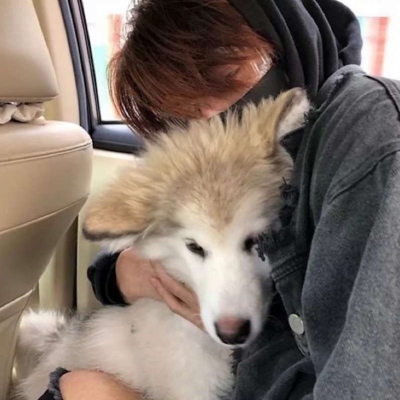 ˧ͷ