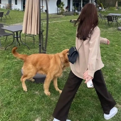 СŮQQŮͷ