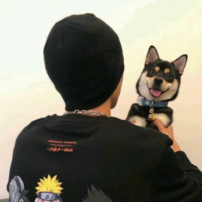 һ޶˧ϵԪͷ