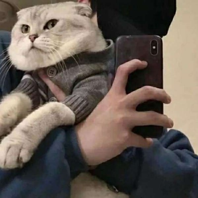 ͷ˧