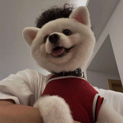 ͷ˧