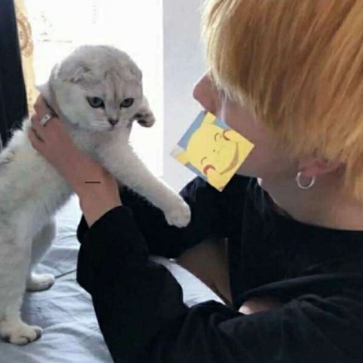 קͷ˧