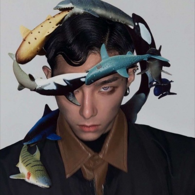 ֵͷһһ ͬһϵŲͬ
