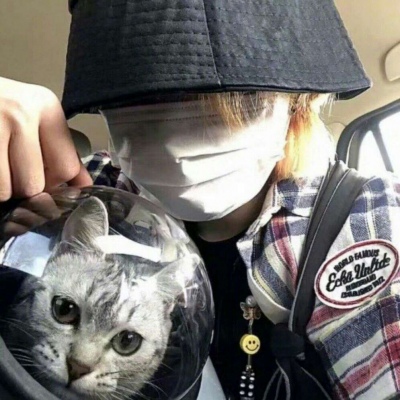 ˬʵͷϼ
