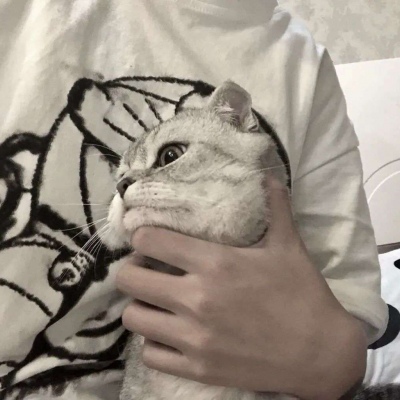 ѡഺ˸ͷ