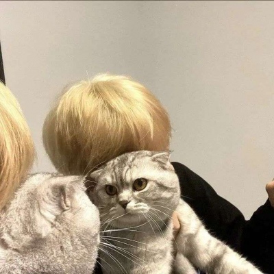 ʱͼƬ˧ͷ