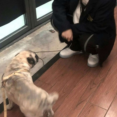ͷºϼ