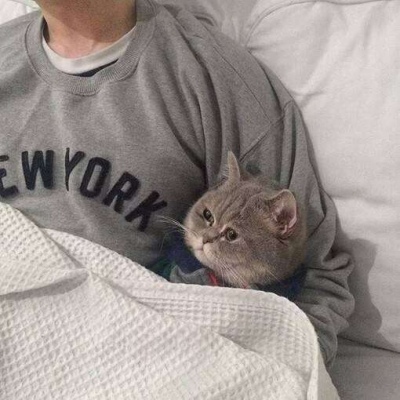 ˧ͷڰ