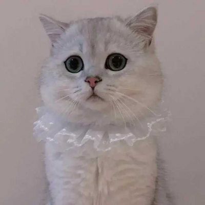 మͷһһͼƬ