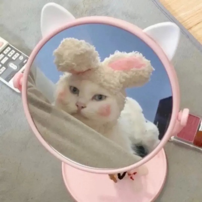 ΢ͷͼƬȫ