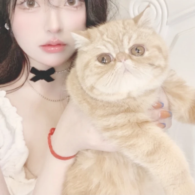 һһŮͷ嵥˵ͼ