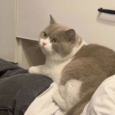 ˮӡ°ͷϼ