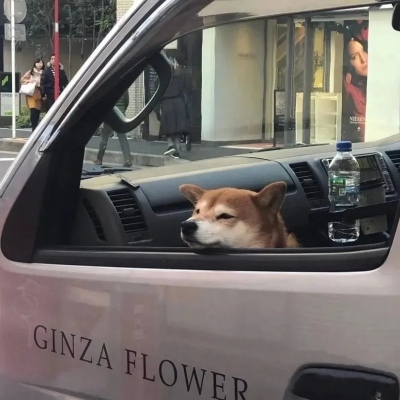ˮӡ°ͷϼ