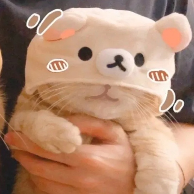 Ψͷһһ˰