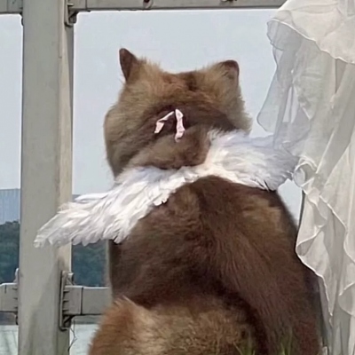 ͷһһ