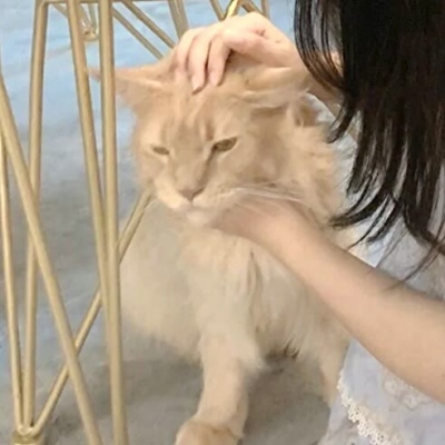 һһŮͷ嵥˵ͼ