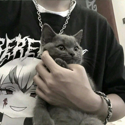 Ʀ˧Ʀ˧ŷͷºϼ