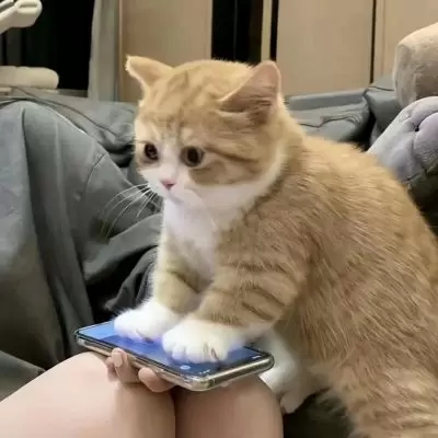 ͷһһͼƬ