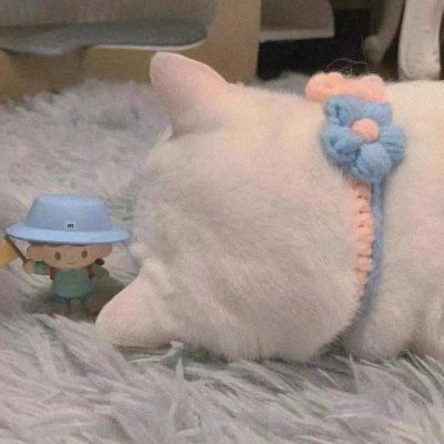 Ƥ򵥿ɰĿͨͷ
