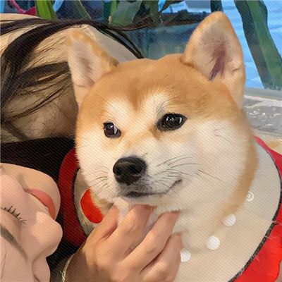 ͷһһſ