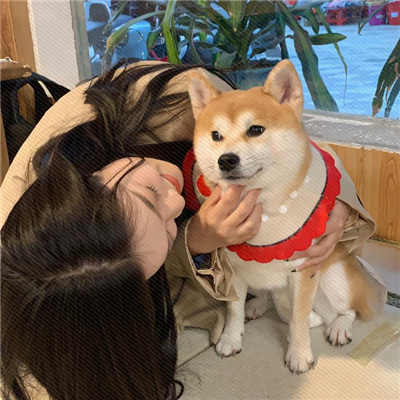ͷһһſ