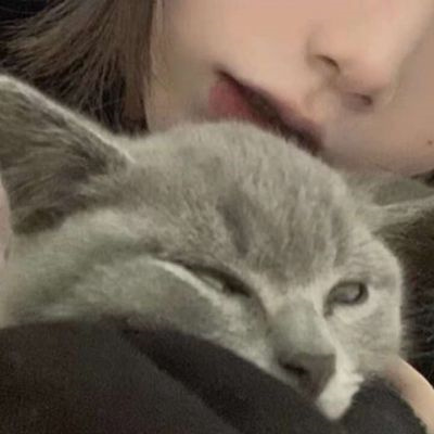 ˶ϵͷͼƬ