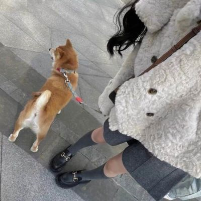 ˶ϵͷͼƬ