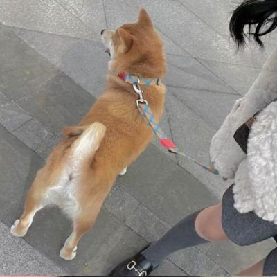 ˶ϵͷͼƬ