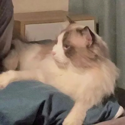 èϵͷͼƬ