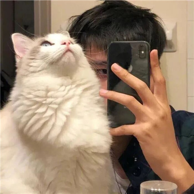 Ӹɾͷÿ