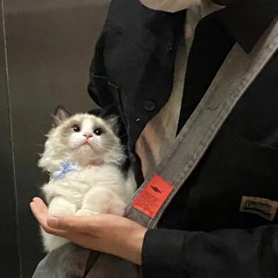 ʳ˧ʮͷ