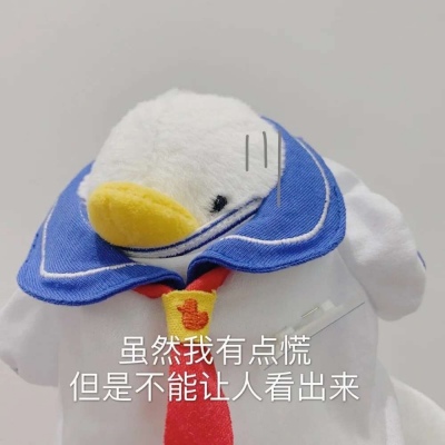 ȫºÿĸִֿͨŮͷ