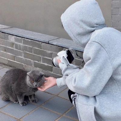 °泬ͷ