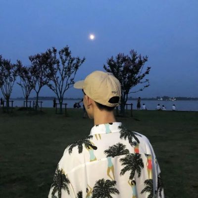 很安静又很精致的森系帅气男头