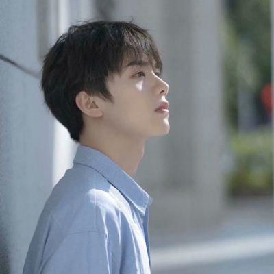 精致清新男超级帅的好看的男头