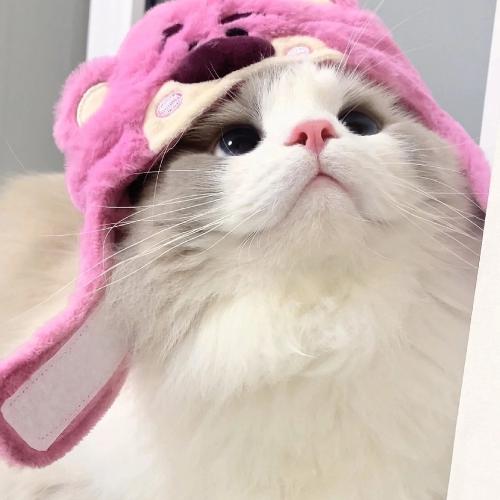 ͷһͼƬ