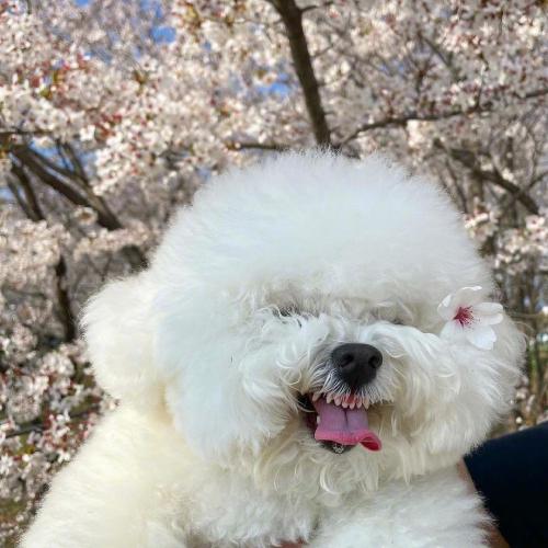 ɰȳͷȵСèСǷϲ