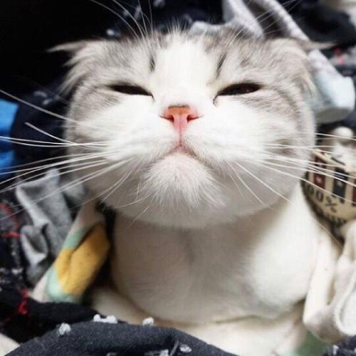 ɰȳͷȵСèСǷϲ